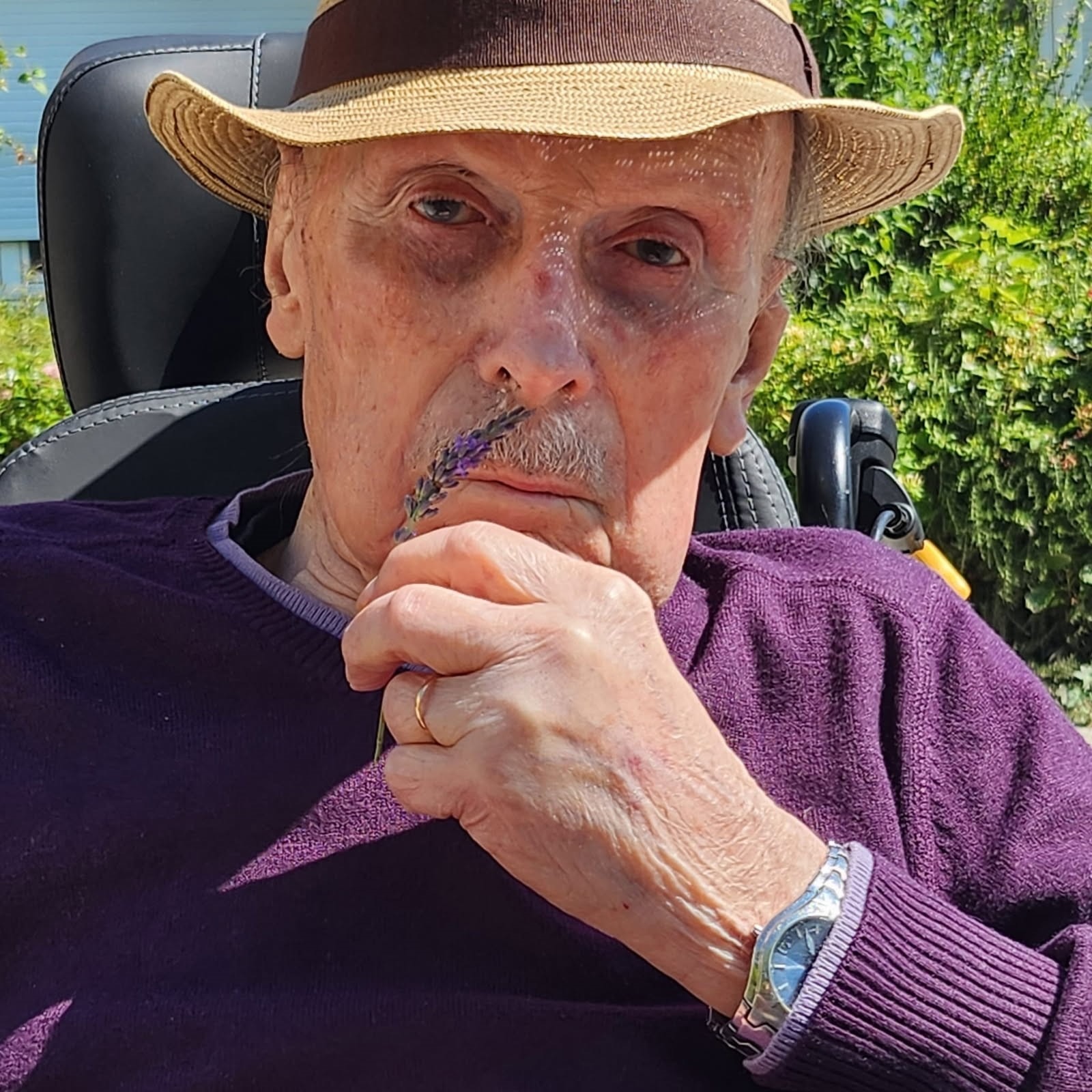 Photo de Monsieur Robert ALBERNY