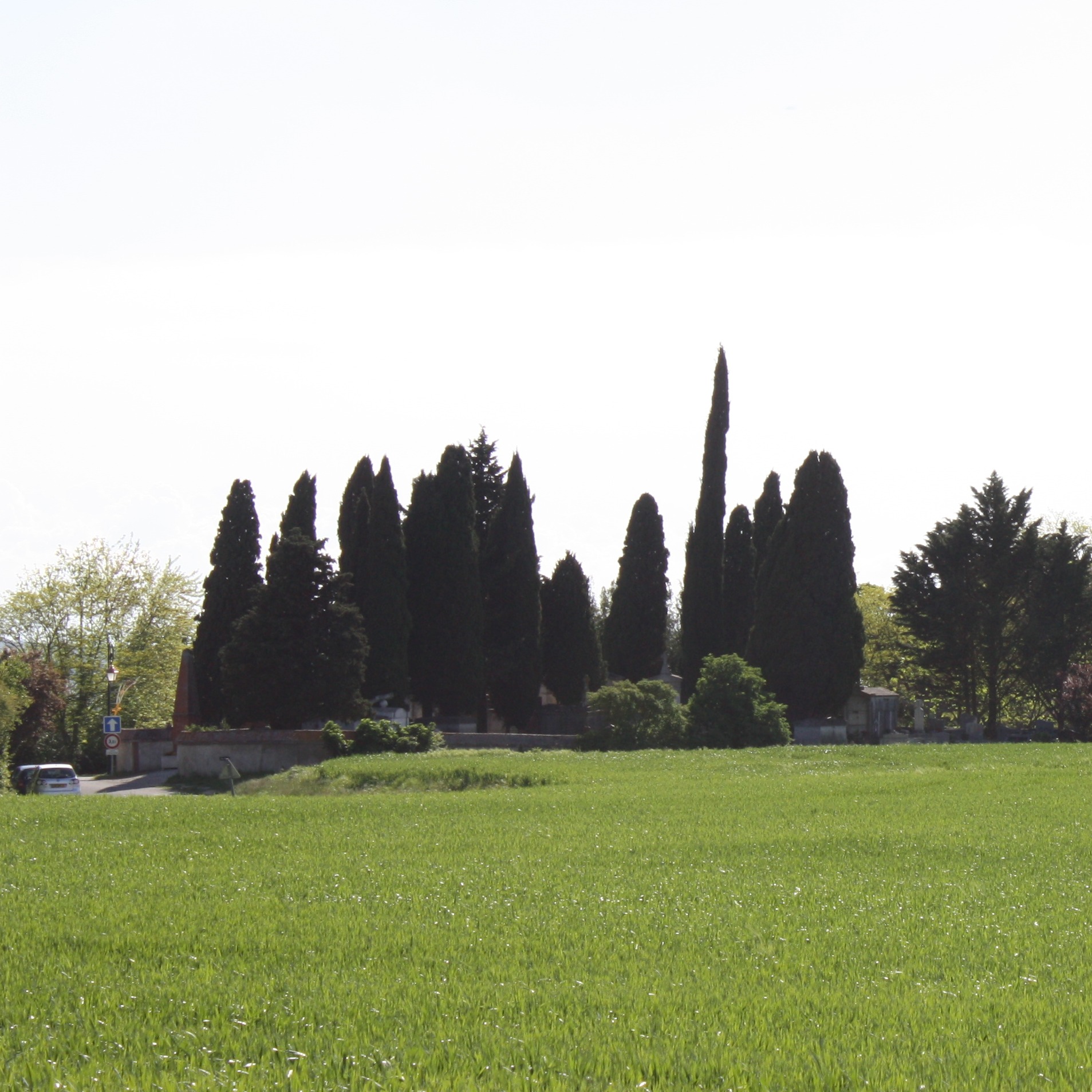 Photo d’Andrea MICHONNEAU