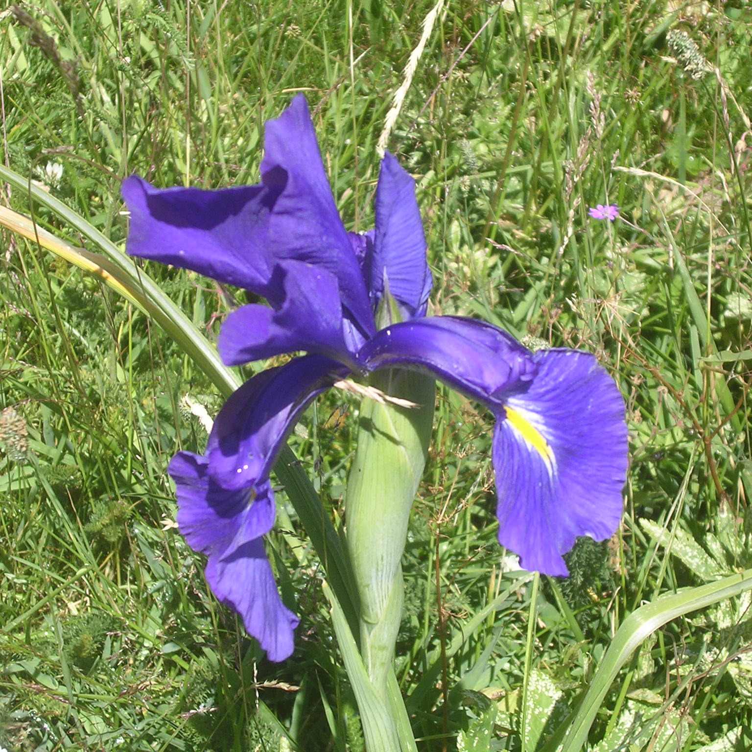 Photo d’Antoine TIMBAL DUCLAUX DE MARTIN